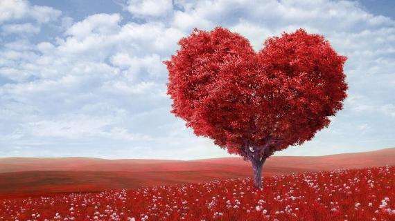 The power of Love Tree shaped like a heart